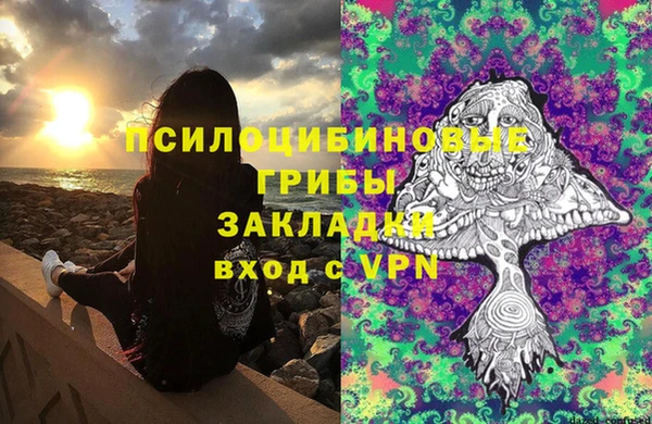 круглые Алзамай