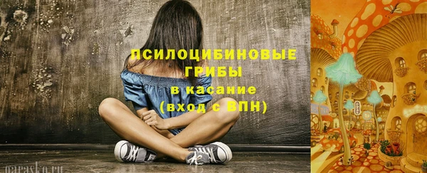 МДПВ Алексеевка