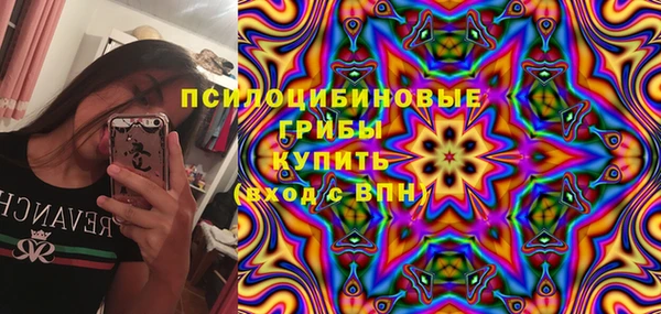МДПВ Алексеевка