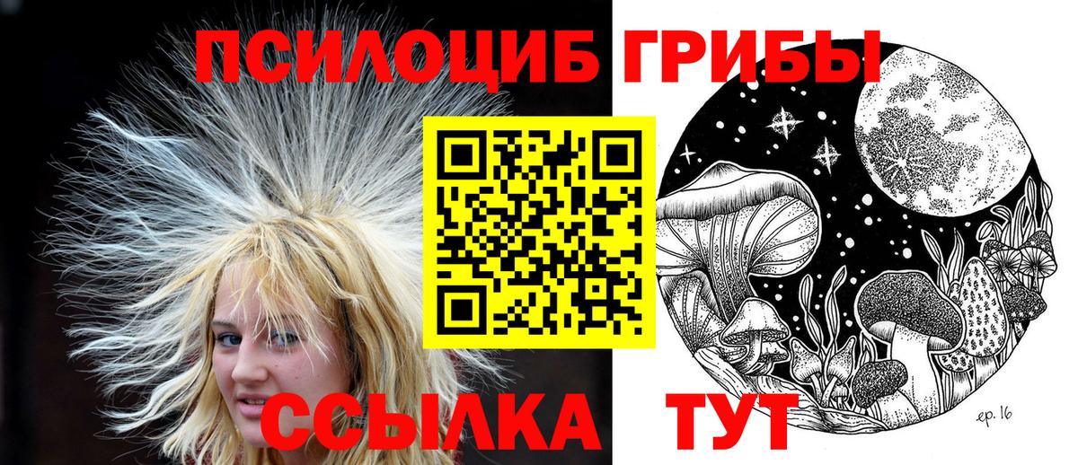 Псилоцибиновые грибы Magic Shrooms Казань